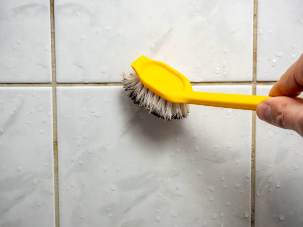 Office Mold Removal Services in Divernon, IL
