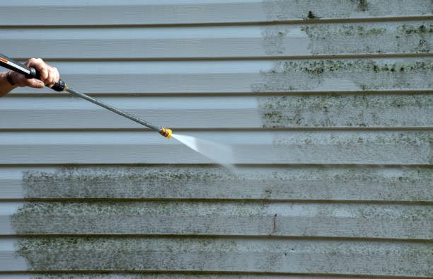 Best Professional Mold Removal  in Divernon, IL